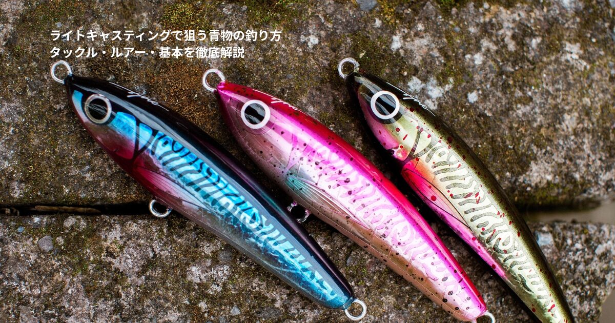 ライトキャスティングで狙う青物の釣り方｜タックル・ルアー・基本を 